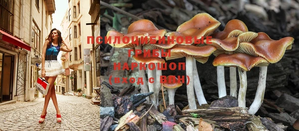 ALPHA-PVP Верея